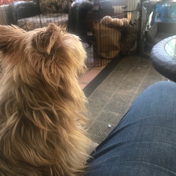 Meet your Posher, Erica - Picture 1 of 1